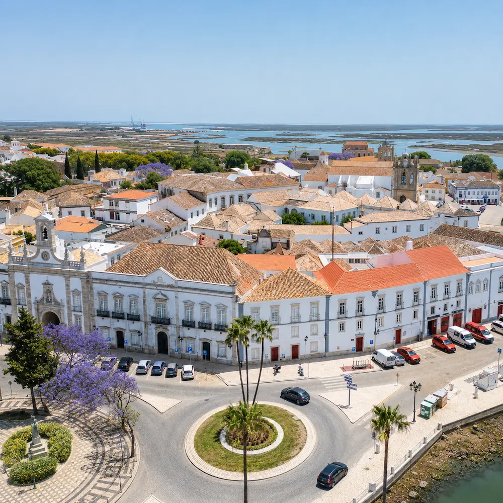 Vista de aldeia portuguesa, vinhas e costa atlântica